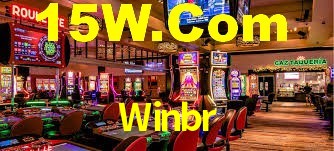 Premium Interface Winbr