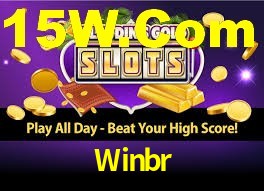 Winbr App Interface